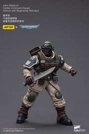 Warhammer 40k JoyToy Actionfigure - Astra Militarum Cadian Command Squad Veteran with Regimental Standard figure for collectors, display
