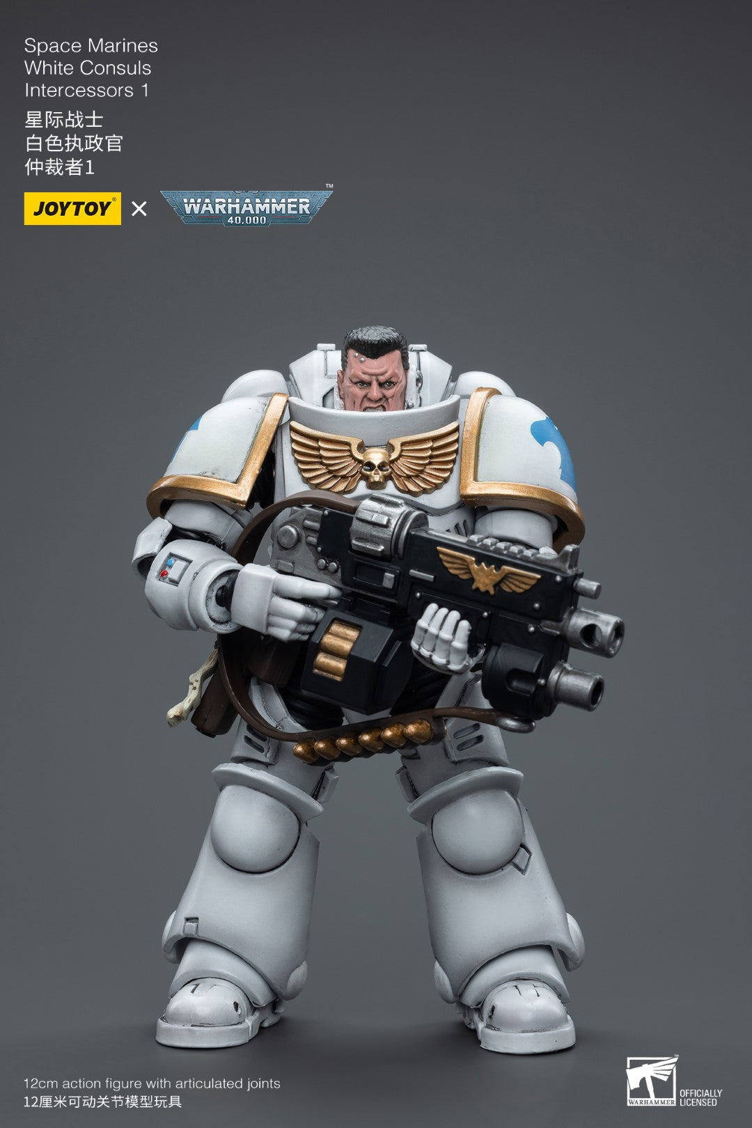 Warhammer 40k JoyToy Actionfigure - Space Marines White Consuls Intercessors 1 figure for collectors, display and premium shelf presentation