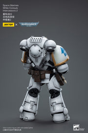Warhammer 40k JoyToy Actionfigure - Space Marines White Consuls Intercessors 2 figure for collectors, display and premium shelf presentation
