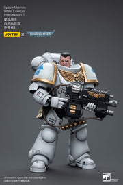 Warhammer 40k JoyToy Actionfigure - Space Marines White Consuls Intercessors 1 figure for collectors, display and premium shelf presentation