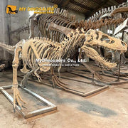 T-Rex Juvenile - Museum Quality replica doll from Real size fossil replica for collectors, display and premium shelf presentation