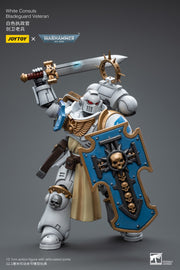 Warhammer 40k JoyToy Actionfigure - White Consuls Bladeguard Veteran figure for collectors, display and premium shelf presentation