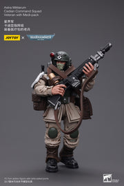 Warhammer 40k JoyToy Actionfigure - Astra Militarum Cadian Command Squad Veteran with Medi-pack figure for collectors, display and premium