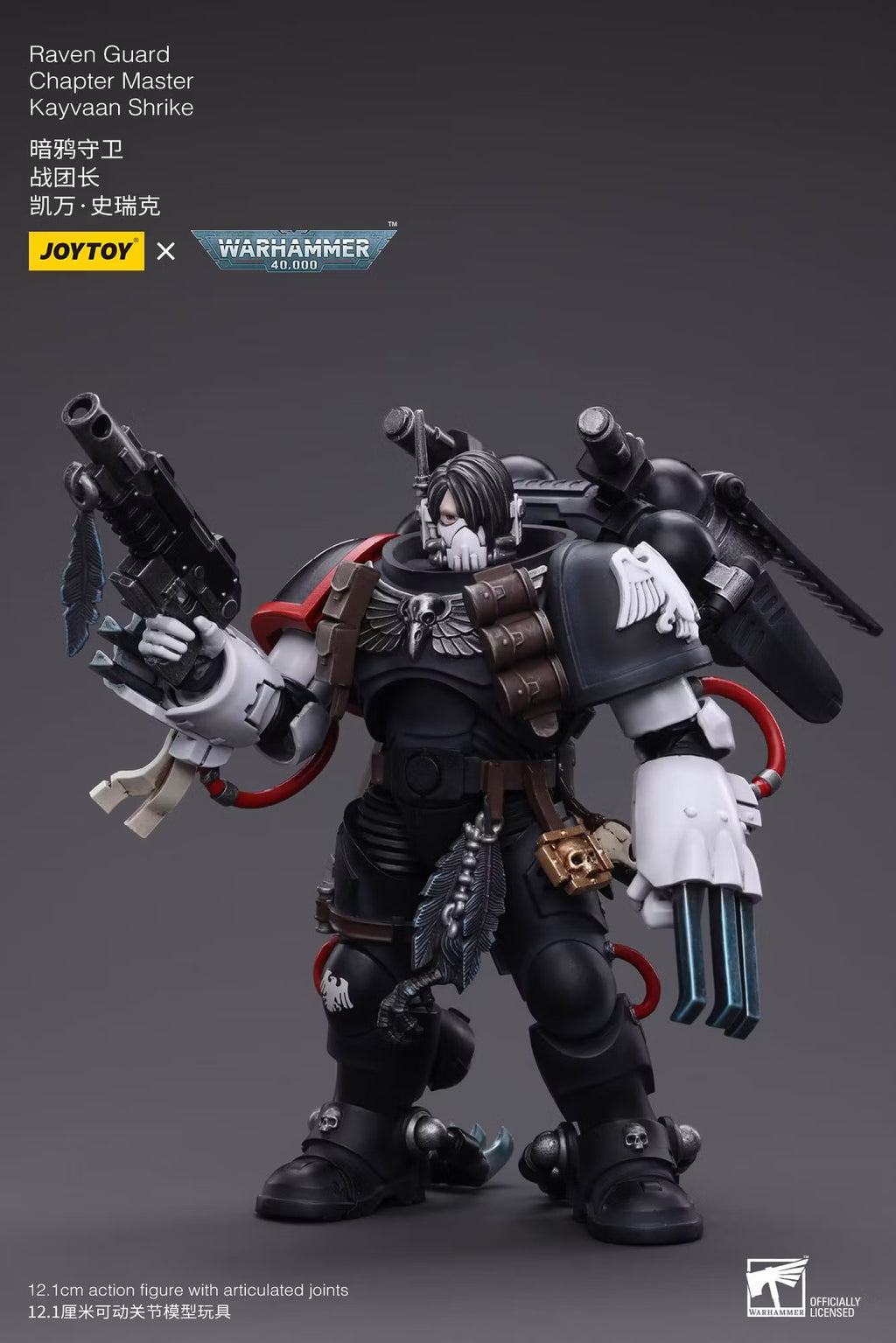 Raven Guard Chapter Master Kayvaan Shrike (Warhammer 40k JoyToy Action figure)