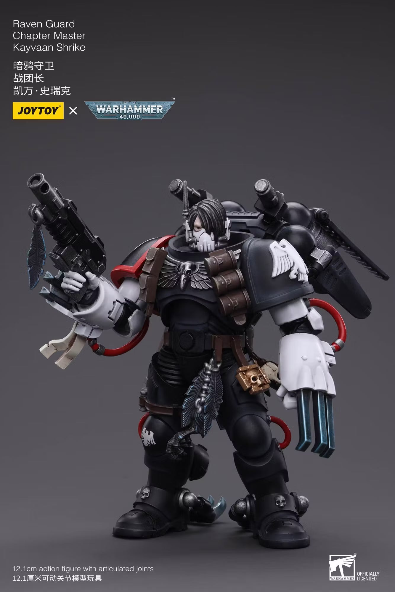 Raven Guard Chapter Master Kayvaan Shrike (Warhammer 40k JoyToy Action figure)