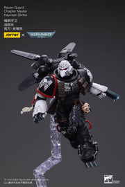 Raven Guard Chapter Master Kayvaan Shrike (Warhammer 40k JoyToy Action figure)