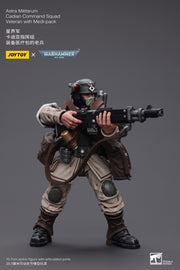Warhammer 40k JoyToy Actionfigure - Astra Militarum Cadian Command Squad Veteran with Medi-pack figure for collectors, display and premium