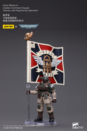 Warhammer 40k JoyToy Actionfigure - Astra Militarum Cadian Command Squad Veteran with Regimental Standard figure for collectors, display