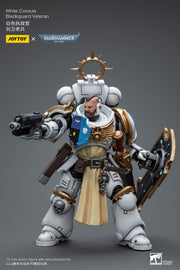 Warhammer 40k JoyToy Actionfigure - White Consuls Bladeguard Veteran figure for collectors, display and premium shelf presentation