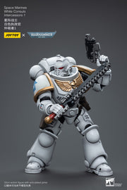 Warhammer 40k JoyToy Actionfigure - Space Marines White Consuls Intercessors 1 figure for collectors, display and premium shelf presentation
