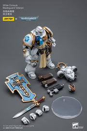Warhammer 40k JoyToy Actionfigure - White Consuls Bladeguard Veteran figure for collectors, display and premium shelf presentation
