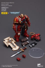 Warhammer 40k JoyToy Actionfigure - Blood Angels Bladeguard Veteran Primaris figure for collectors, display and premium shelf presentation