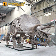 Triceratops - Museum Quality replica doll from Real size fossil replica for collectors, display and premium shelf presentation