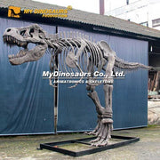 T-Rex - Museum Quality replica doll from Real size fossil replica for collectors, display and premium shelf presentation
