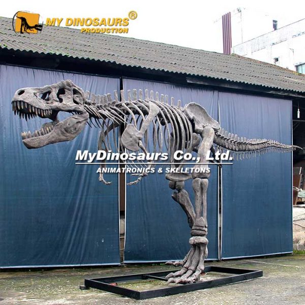 T-Rex - Museum Quality replica doll from Real size fossil replica for collectors, display and premium shelf presentation