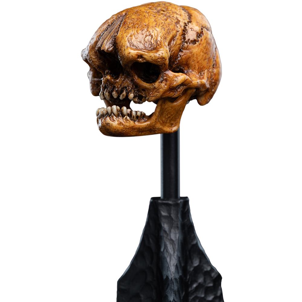 Weta Workshop The Hobbit Trilogy - Skull Of A Misty Mountain Goblin Miniature – view 8