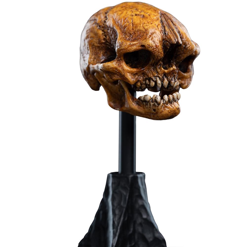 Weta Workshop The Hobbit Trilogy - Skull Of A Misty Mountain Goblin Miniature – view 9