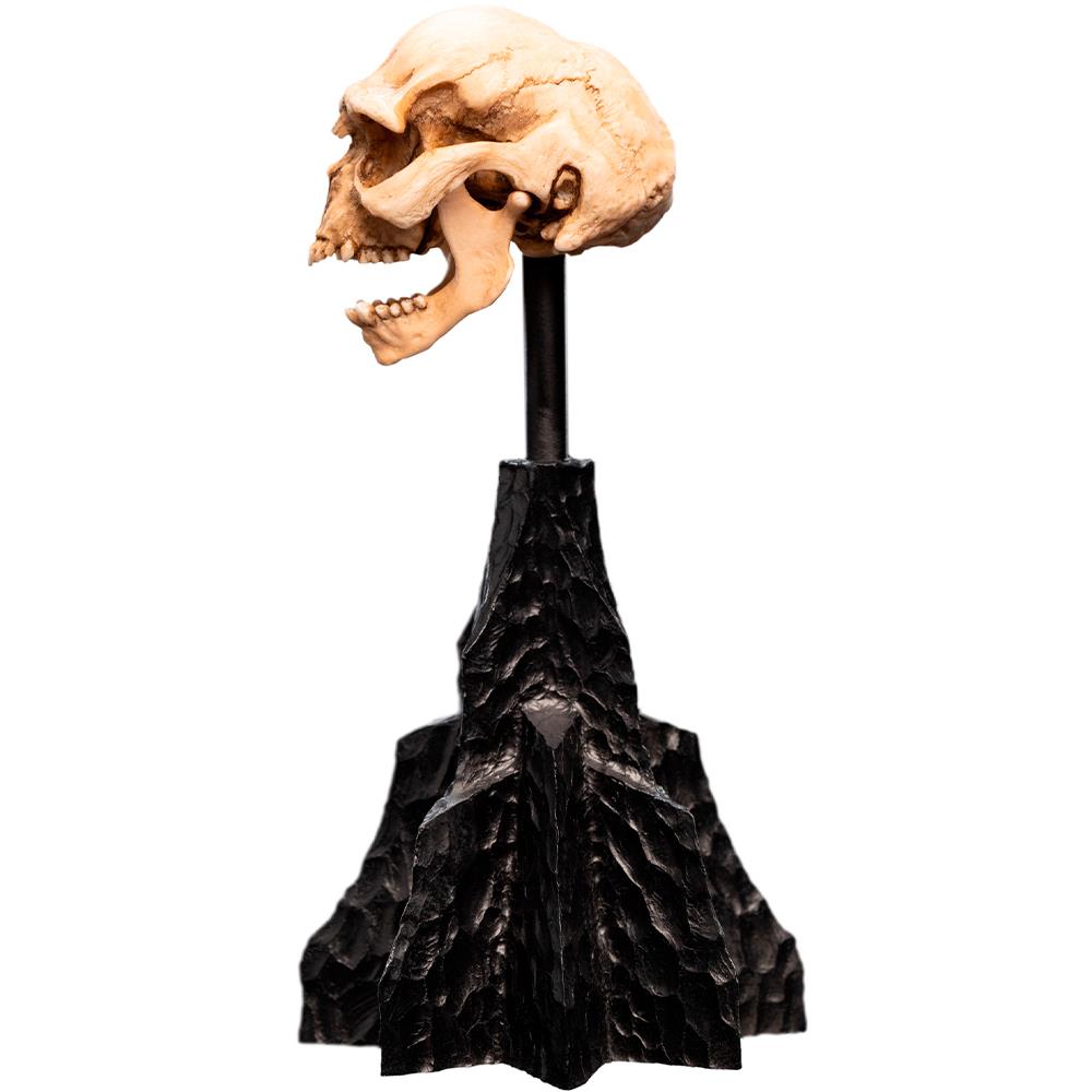 Weta Workshop Lord of the Rings - Skull of a Moria Orc Minuature – view 7