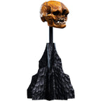Weta Workshop The Hobbit Trilogy - Skull Of A Misty Mountain Goblin Miniature – view 2