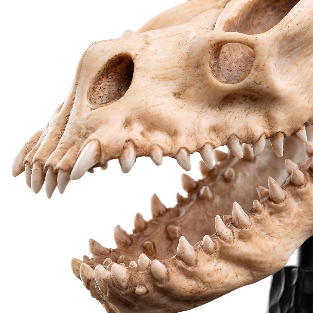 Weta Workshop Lord of the Rings - Skull of a Fell Beast Minuature – view 9