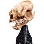 Weta Workshop The Lord of the Rings Trilogy- Miniature Skull of a Warg – view 9
