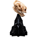 Weta Workshop The Lord of the Rings Trilogy- Miniature Skull of a Warg – view 2