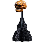 Weta Workshop The Hobbit Trilogy - Skull Of A Misty Mountain Goblin Miniature – view 6