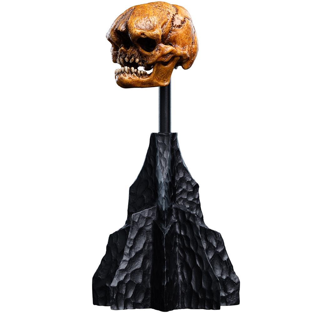 Weta Workshop The Hobbit Trilogy - Skull Of A Misty Mountain Goblin Miniature – view 6