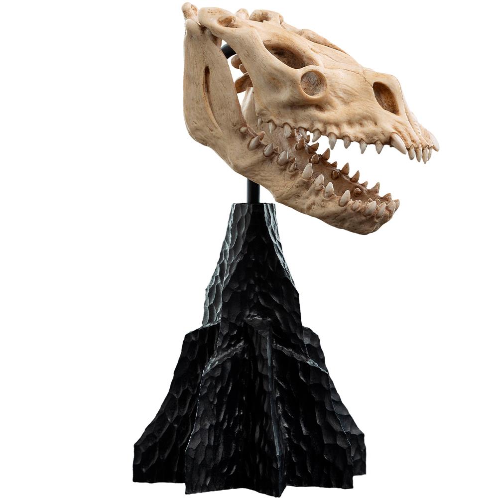 Weta Workshop Lord of the Rings - Skull of a Fell Beast Minuature – view 2