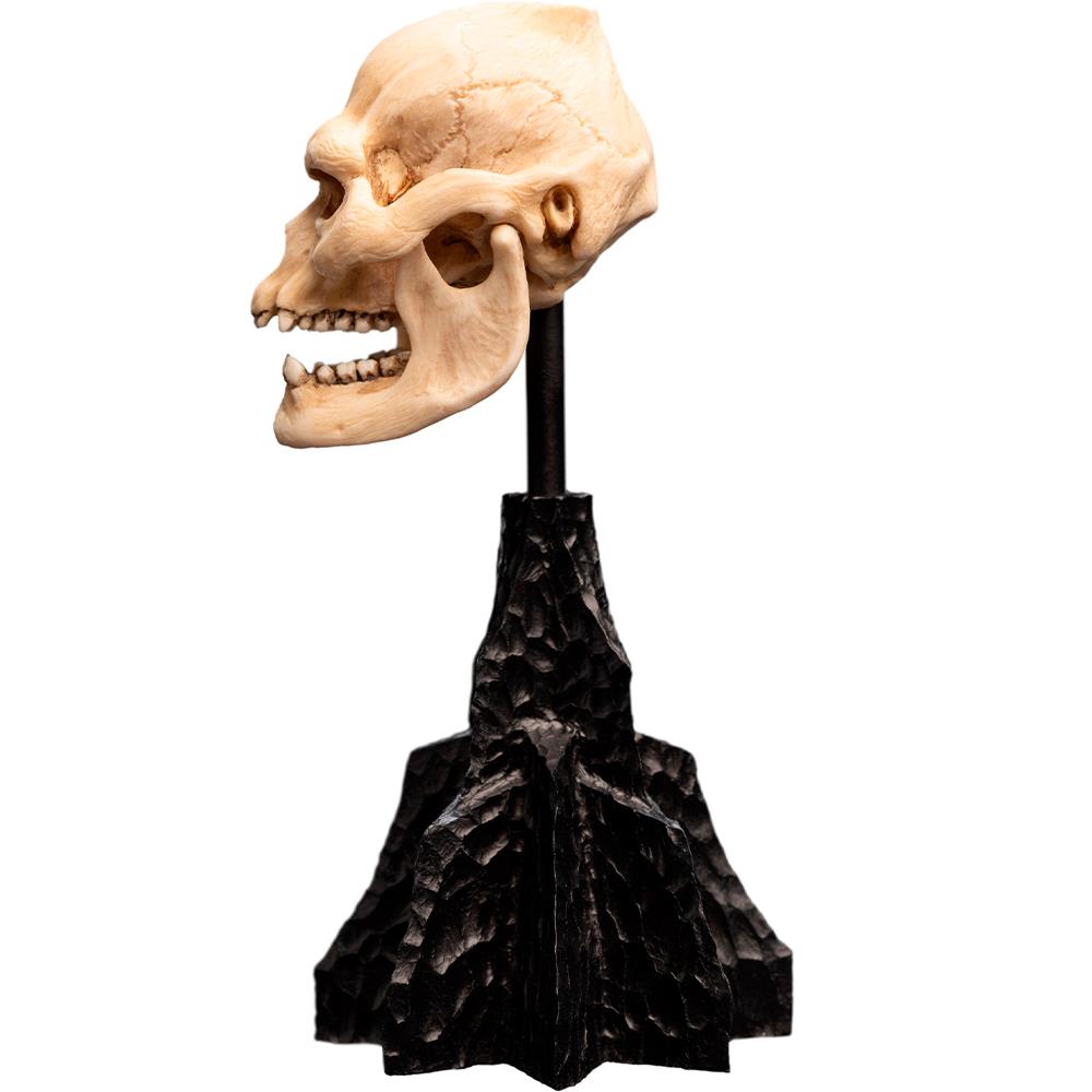 Weta Workshop Lord of the Rings - Skull of Lurtz Minuature – view 7