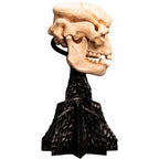 Weta Workshop Lord of the Rings - Skull of a Cave Troll Minuature – view 7