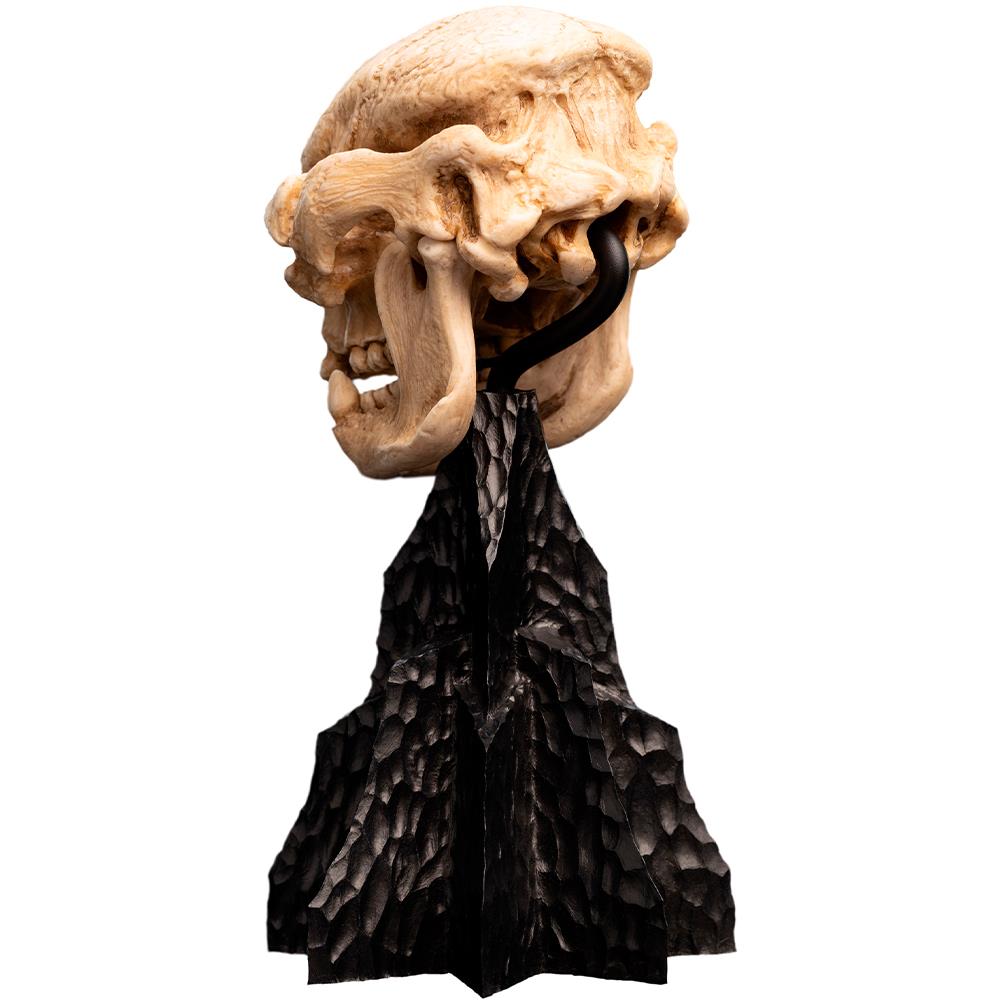 Weta Workshop Lord of the Rings - Skull of a Cave Troll Minuature – view 4