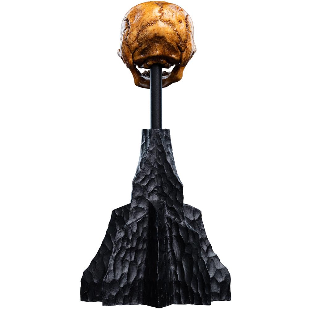 Weta Workshop The Hobbit Trilogy - Skull Of A Misty Mountain Goblin Miniature – view 5