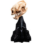 Weta Workshop The Lord of the Rings Trilogy- Miniature Skull of a Warg – view 8