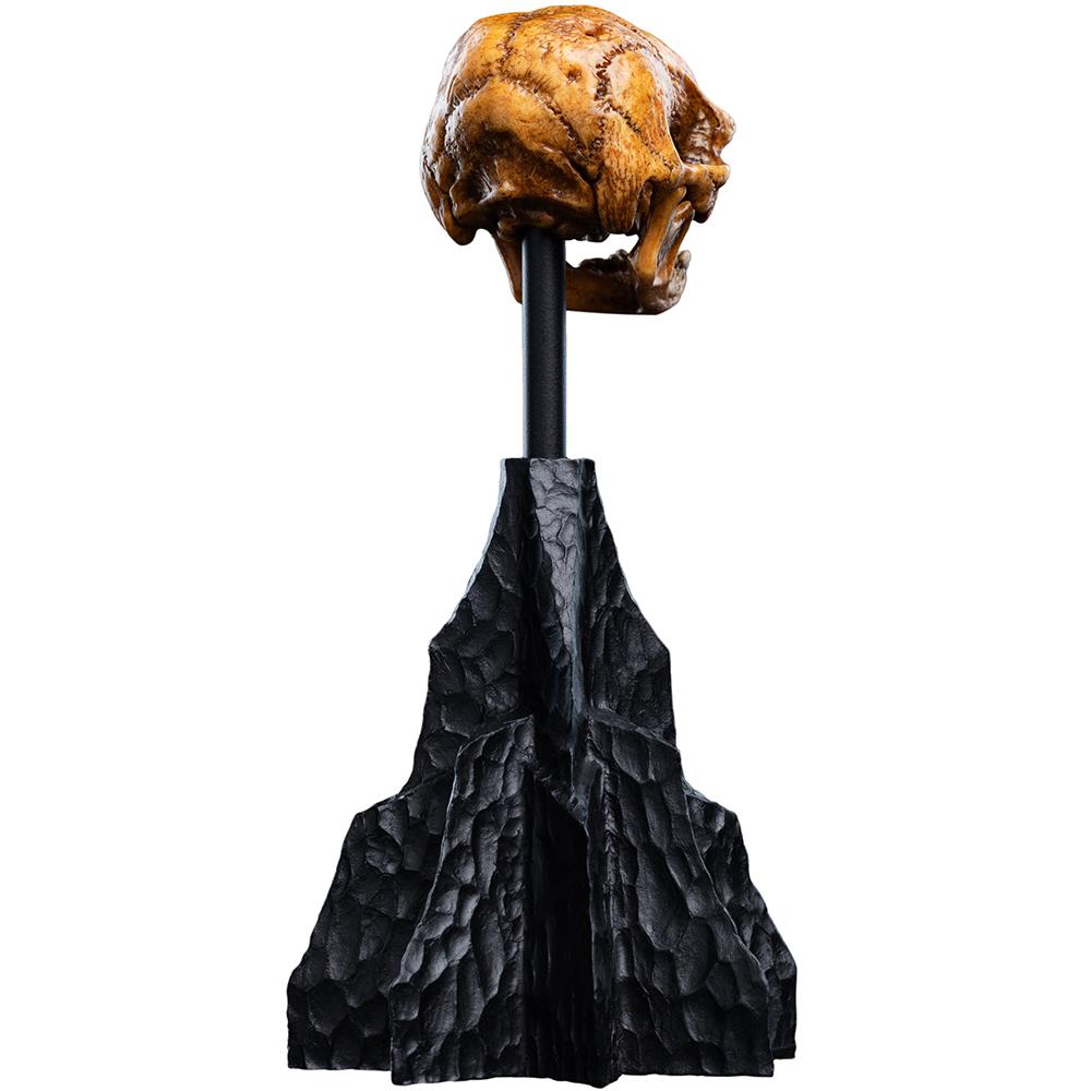 Weta Workshop The Hobbit Trilogy - Skull Of A Misty Mountain Goblin Miniature – view 4