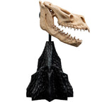 Weta Workshop Lord of the Rings - Skull of a Fell Beast Minuature – view 3