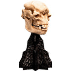 Weta Workshop Lord of the Rings - Skull of a Cave Troll Minuature – view 8