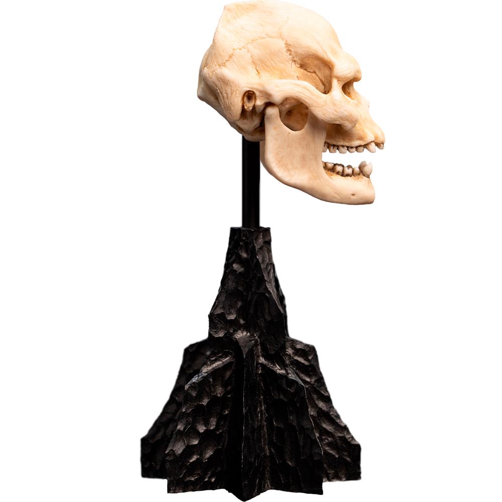 Weta Workshop Lord of the Rings - Skull of Lurtz Minuature – view 3