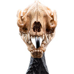 Weta Workshop The Lord of the Rings Trilogy- Miniature Skull of a Warg – view 10