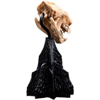 Weta Workshop The Lord of the Rings Trilogy- Miniature Skull of a Warg – view 4