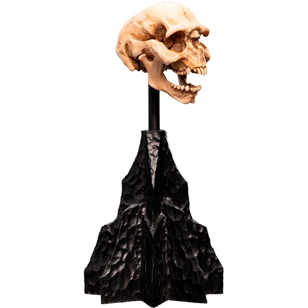 Weta Workshop Lord of the Rings - Skull of a Moria Orc Minuature – view 2