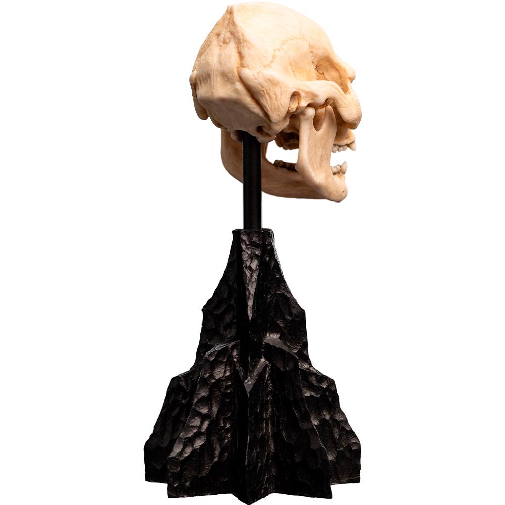 Weta Workshop Lord of the Rings - Skull of Lurtz Minuature – view 4