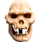 Weta Workshop Lord of the Rings - Skull of Lurtz Minuature – view 9