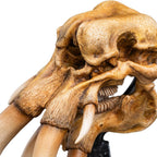 The Lord of the Rings: Miniature Skull of a Mumak – view 3