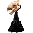 Weta Workshop The Lord of the Rings Trilogy- Miniature Skull of a Warg – view 7