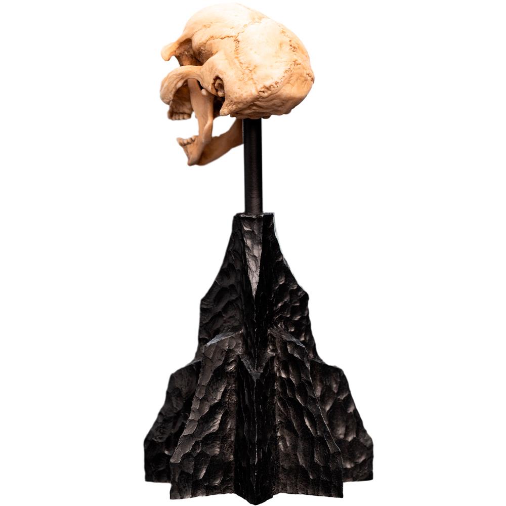 Weta Workshop Lord of the Rings - Skull of a Moria Orc Minuature – view 6