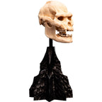 Weta Workshop Lord of the Rings - Skull of Lurtz Minuature – view 2