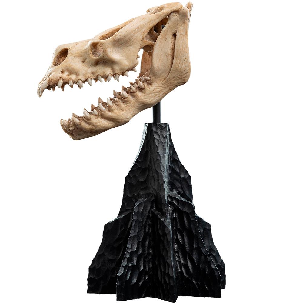 Weta Workshop Lord of the Rings - Skull of a Fell Beast Minuature – view 7