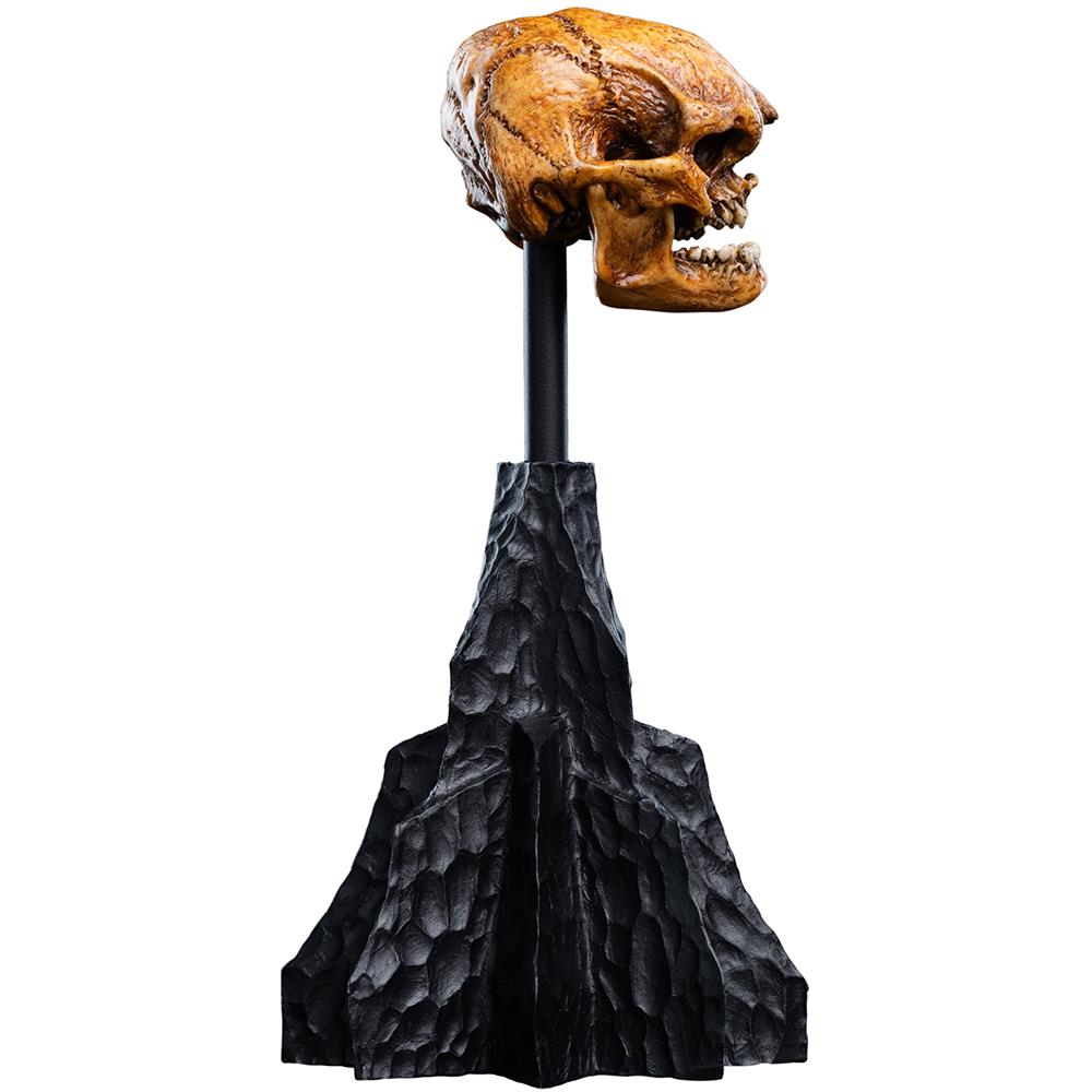 Weta Workshop The Hobbit Trilogy - Skull Of A Misty Mountain Goblin Miniature – view 3