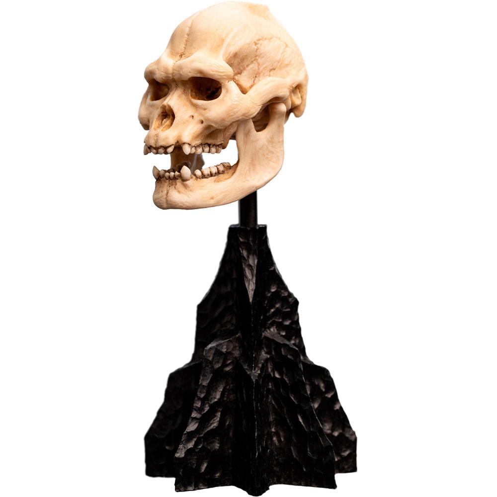 Weta Workshop Lord of the Rings - Skull of Lurtz Minuature – view 8